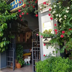 David - Ethno Style Tbilisi